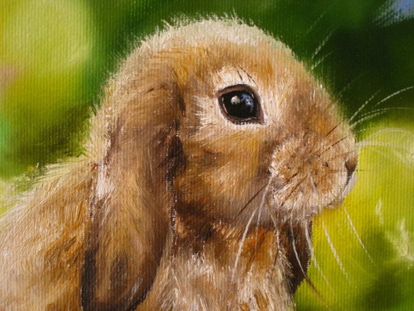 Зайчик маслом на холсте