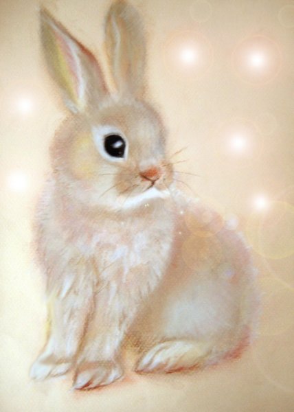 Заяц сухой пастелью