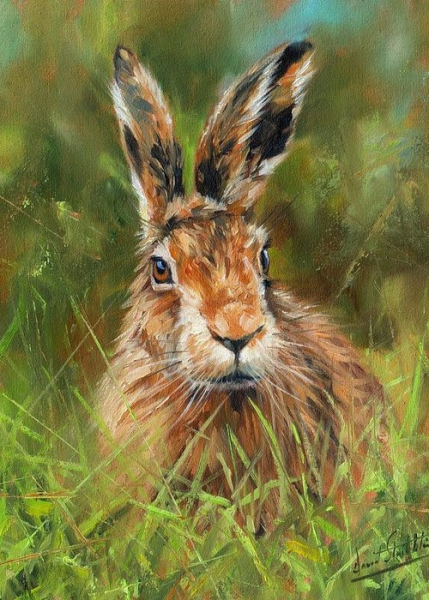 Заяц живопись