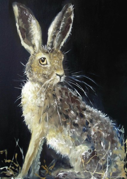 Заяц живопись