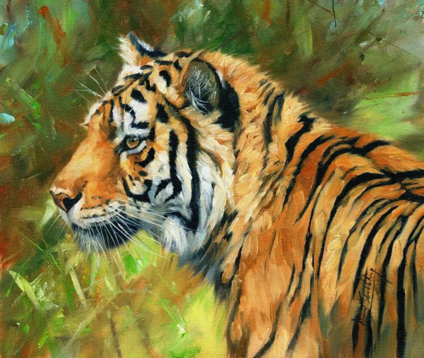 David Stribbling картины кот