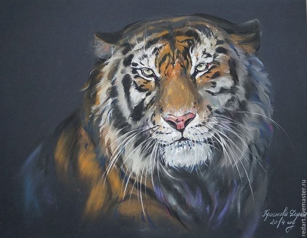 Тигр пастелью