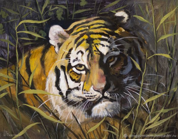 Тигр картина маслом