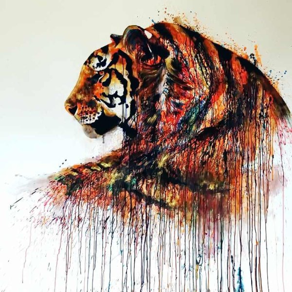 Тигр картины художников