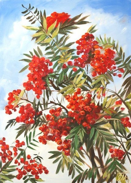 Рябина картина