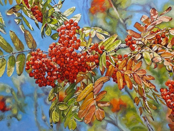 Павел Еськов гроздья рябины