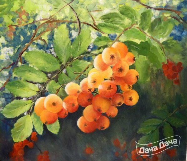 Пастель Елена Кокорина картины