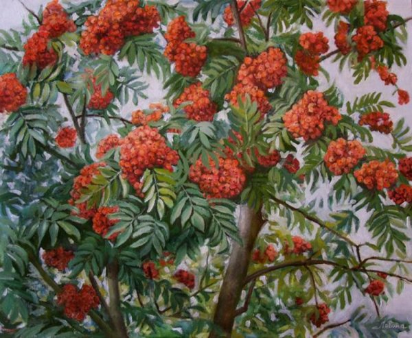 Суриков рябина