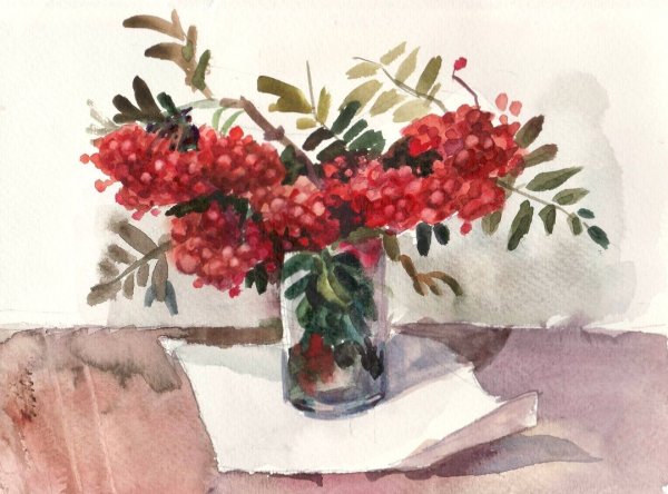 Рябина акварелью Сергея Андрияки