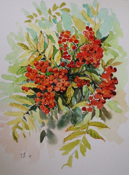 Этюд с рябиной