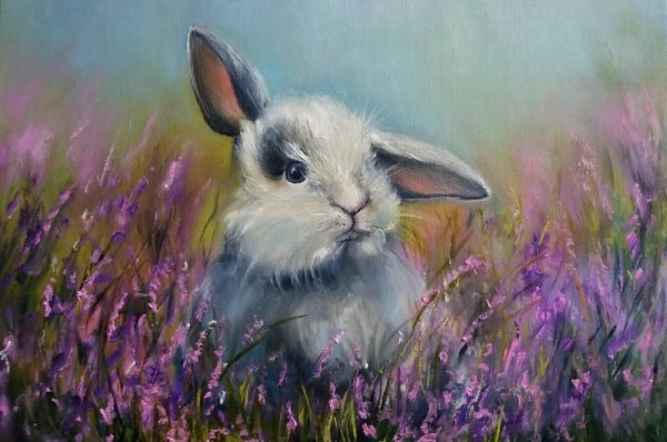Кролик маслом