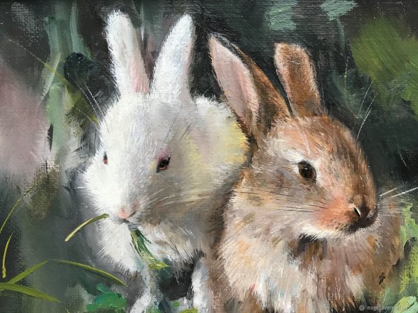 Кролик живопись