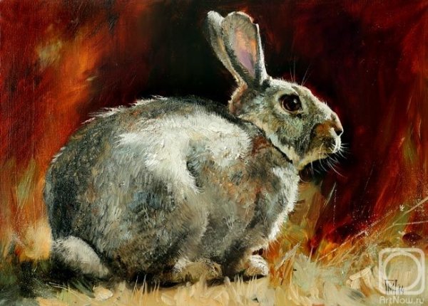 Мария Павлова кролики