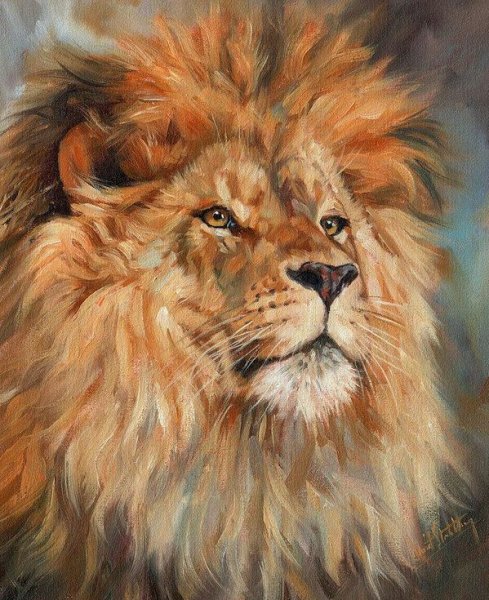 David Stribbling Lion