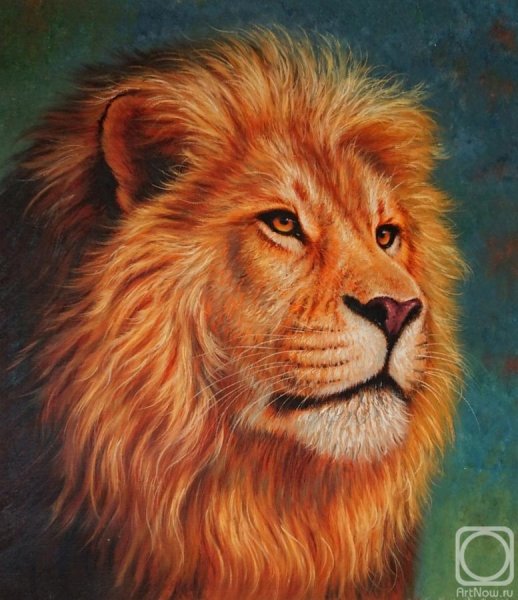 Бруно Августо «белый медведь»