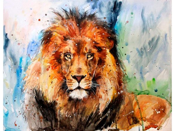 Лев рисунок