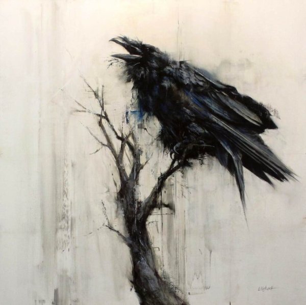 Линдси Кустуш вороны