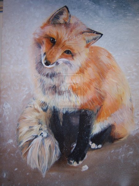 Лиса маслом