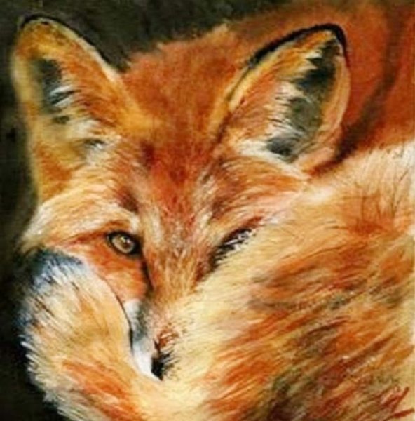 Лисичка картина