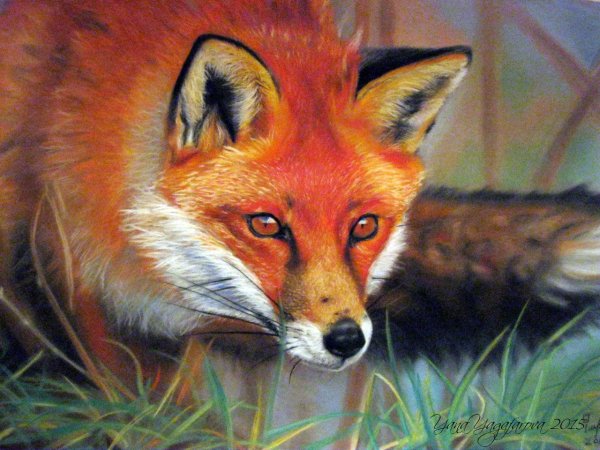 Лисичка пастелью