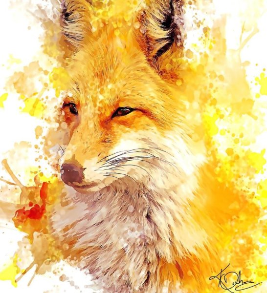 Лиса живопись абстракция