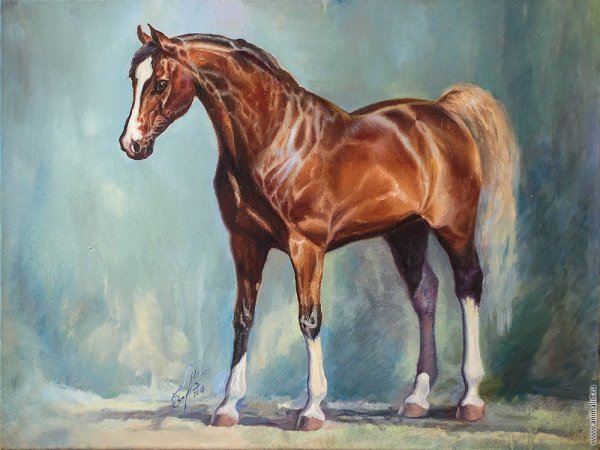 Лошадь маслом