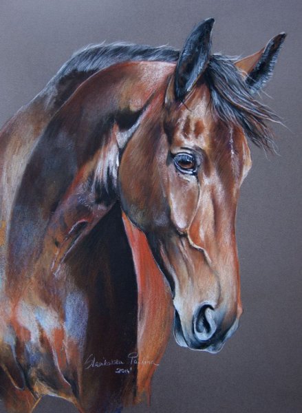 Paulina Stasikowska художник