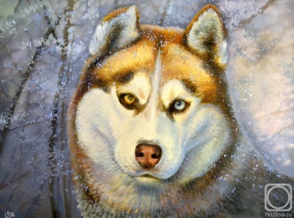 Лайка живопись