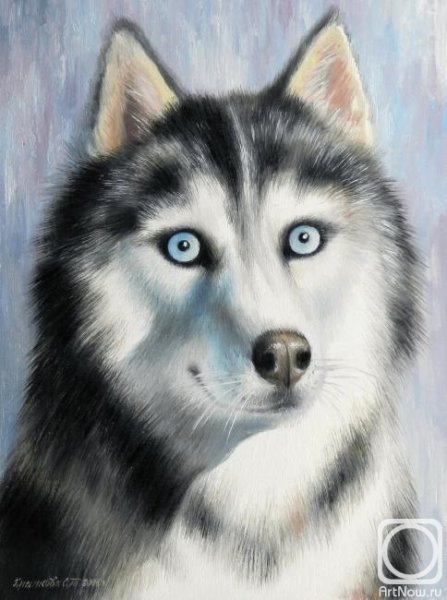 Хаски гуашью