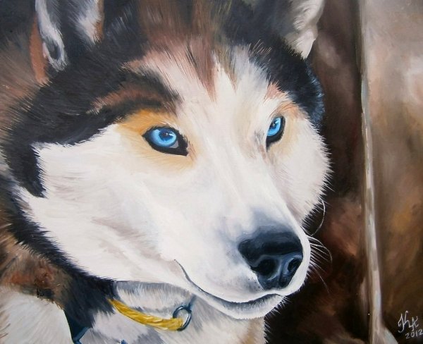 Хаски гуашью