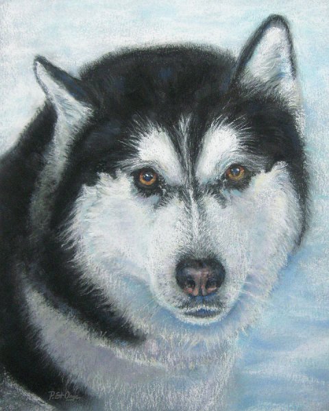 Картина хаски