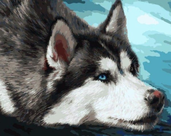 Хаски картина маслом