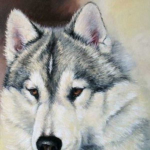 Собачьи упряжки в живописи