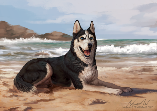 Хаски живопись