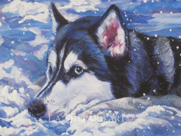 Картина по номерам хаски