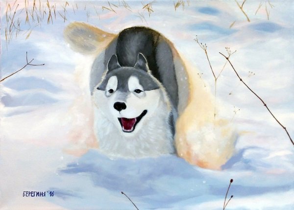 Алмазная мозаика диамонд Painting хаски