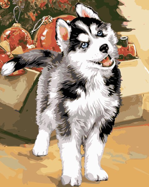 Алмазная мозайка хаски