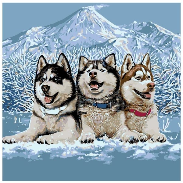 Хаски рисунок