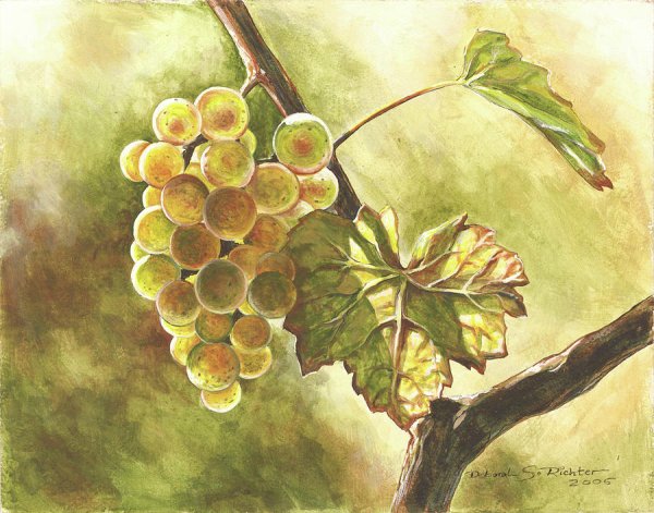 Виноград для рисования
