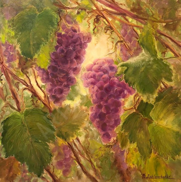 Лоза винограда картина