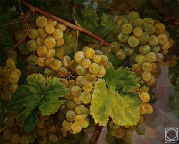 Лукиянов Николай виноград живопись