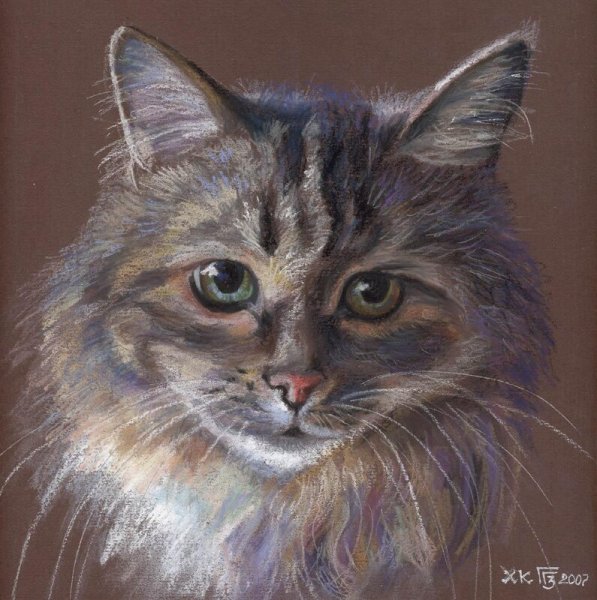 Кошка пастелью