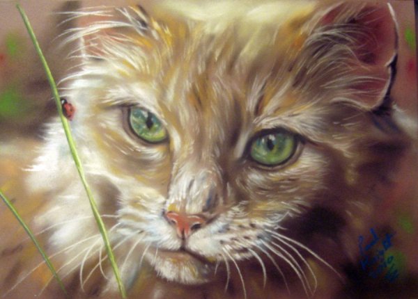 Морда кошки маслом