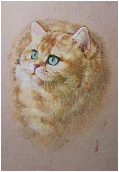 Ольга Авхадеева Бочарова иллюстратор