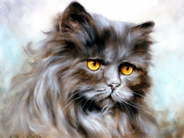 Гарри Дженкинс картины кошки