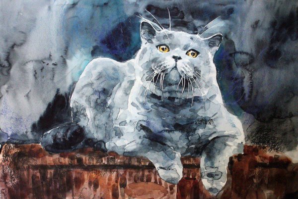 Кот акварелью
