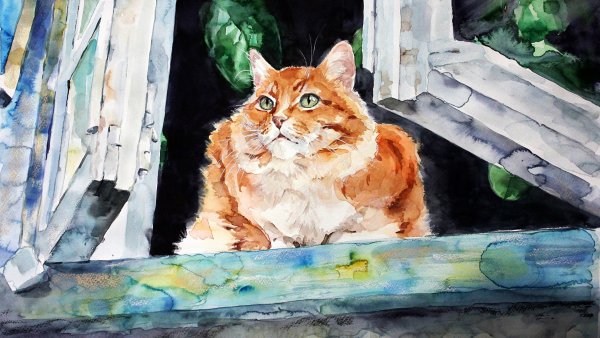 Елена Швед картины