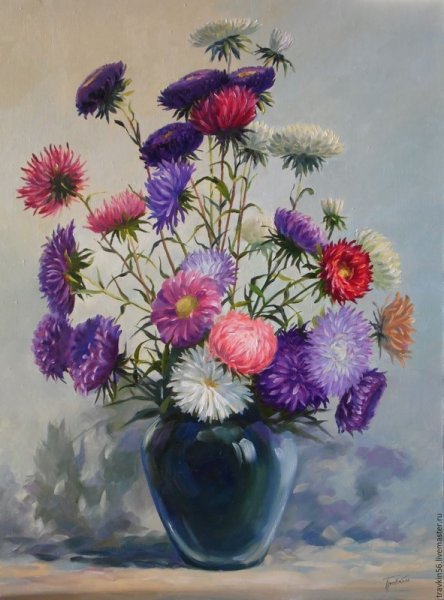 Астры Геншин