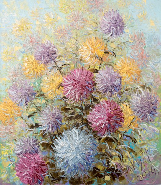 Кустанович астры