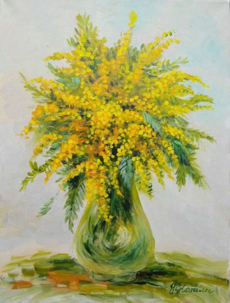 Андрияки Мимоза